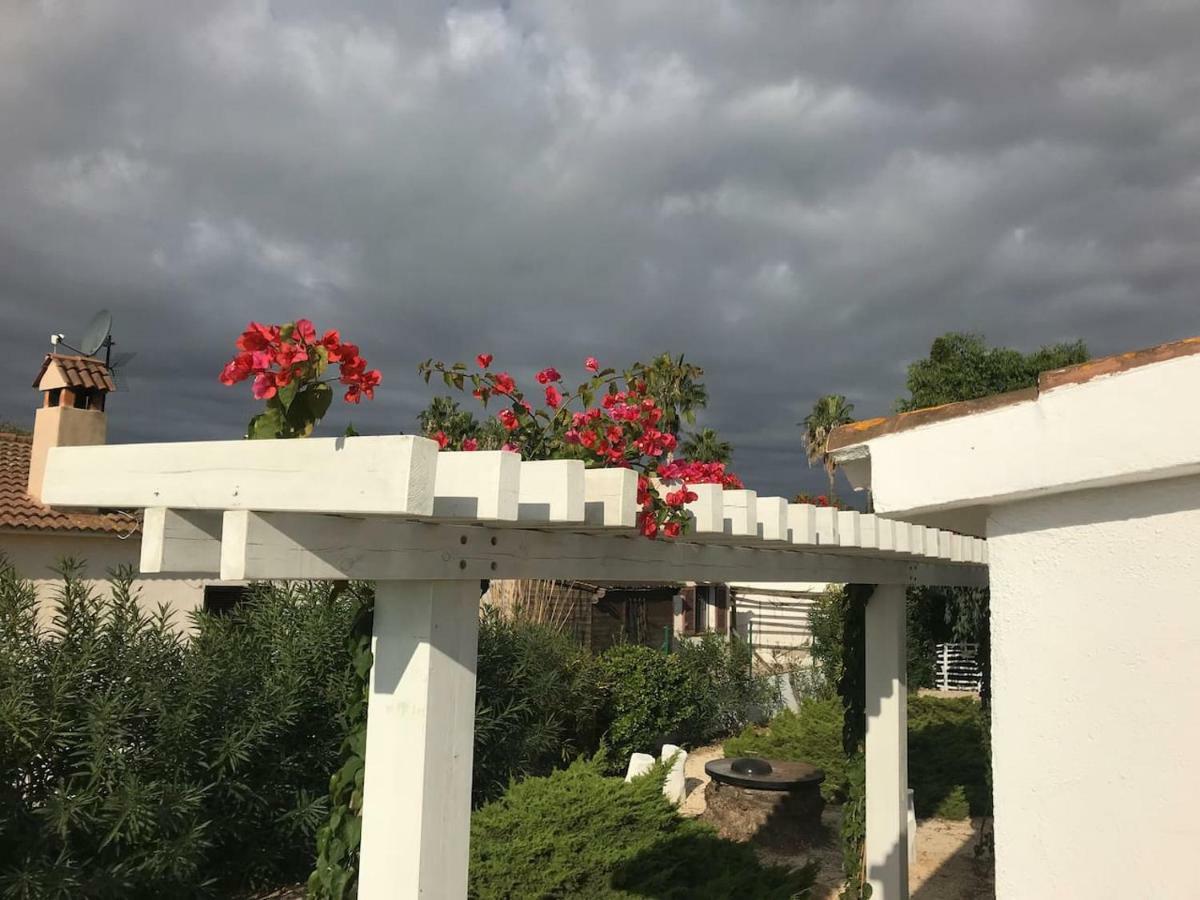 فيلا Casa Eucaliptus L'Eucaliptus المظهر الخارجي الصورة